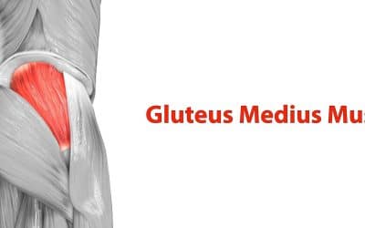 5 Best Glute Medius Exercises