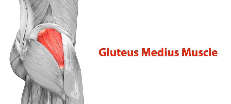 5 Best Glute Medius Exercises | South Island Physiotherapy