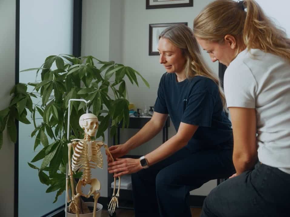 Two physiotherapists discussing a skeleton model in a clinic setting.