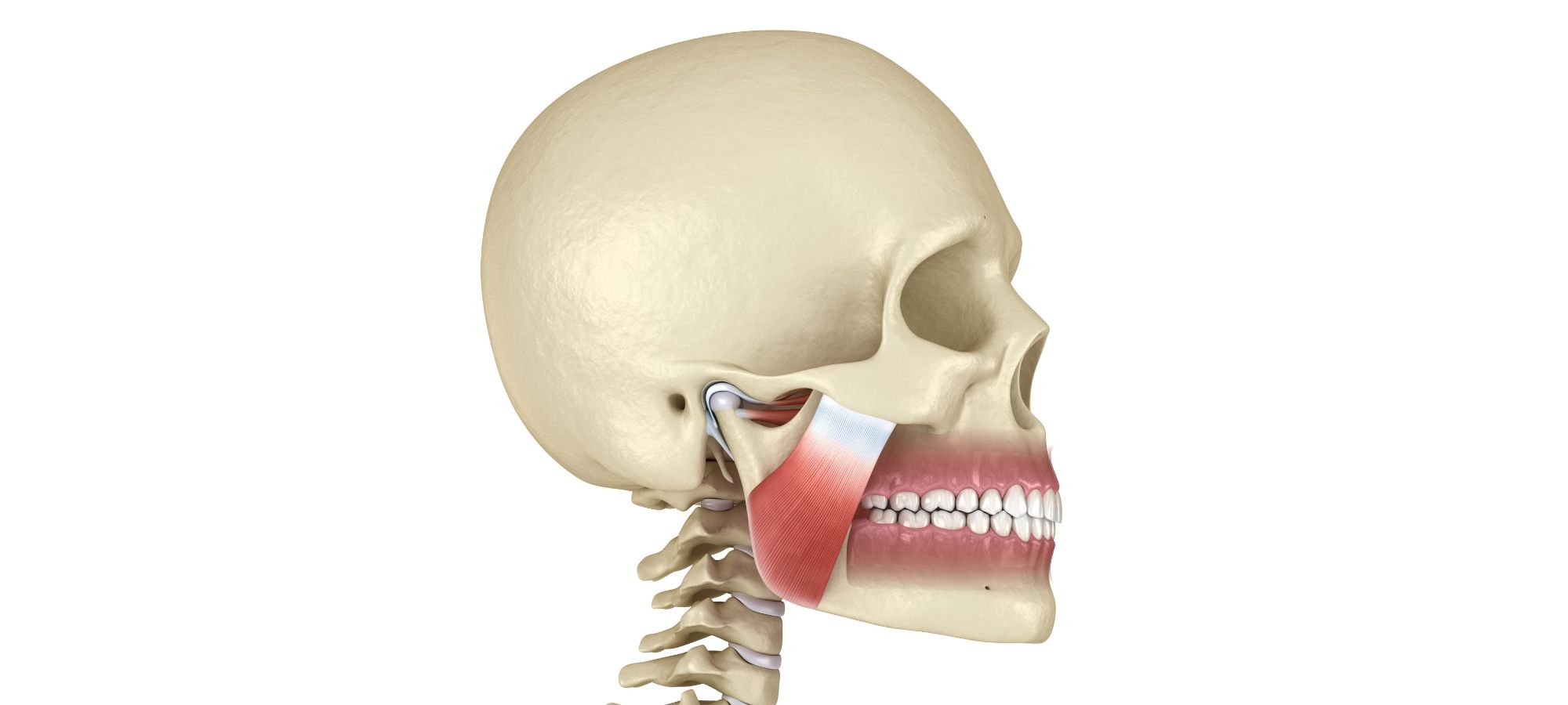 temporomandibular joint disorders